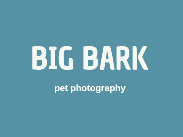 Big Bark Logo